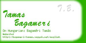 tamas bagameri business card