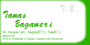 tamas bagameri business card